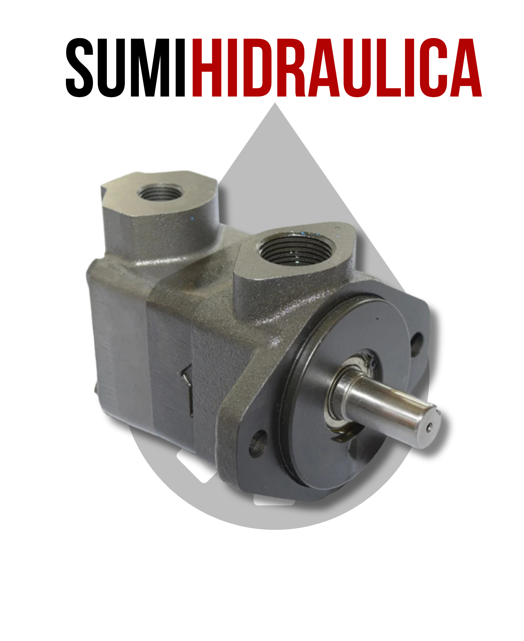 BOMBA DE PALETAS V10 DE 4 GPM