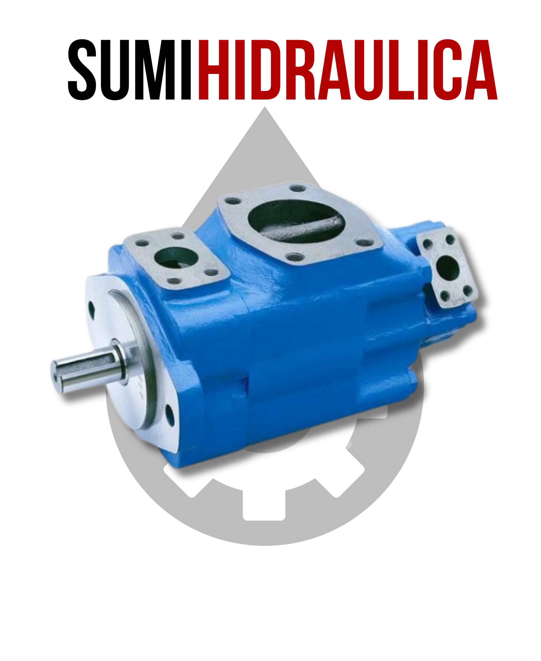 BOMBA P350 DE 47 GPM SAE B 4/2 GIRO DERECHO EJE 1-1/4